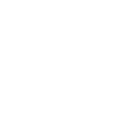 logo icon